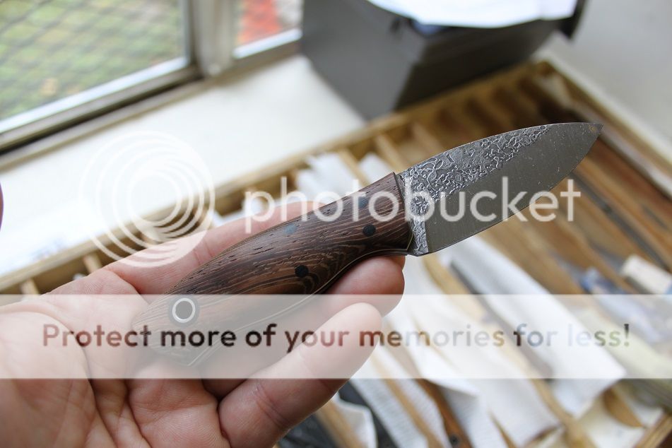 sneak_102715_42.jpg