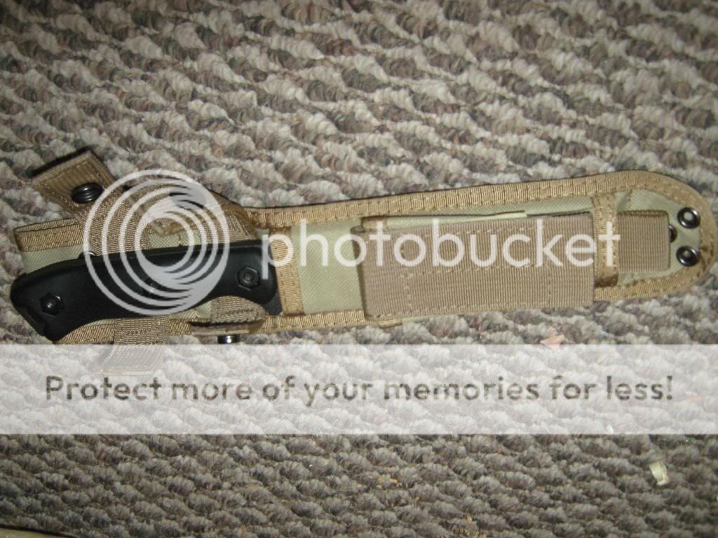IMG_0805_zps9489857d.jpg