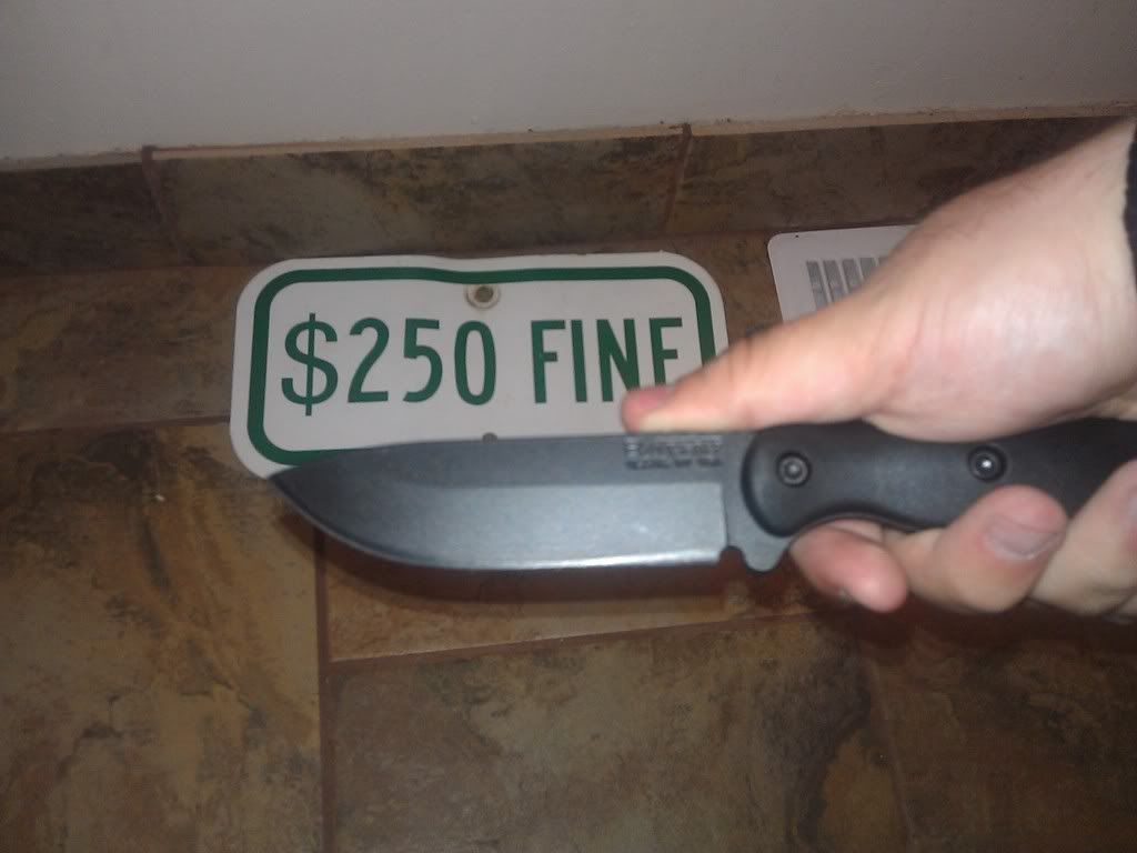 IMAG0297.jpg