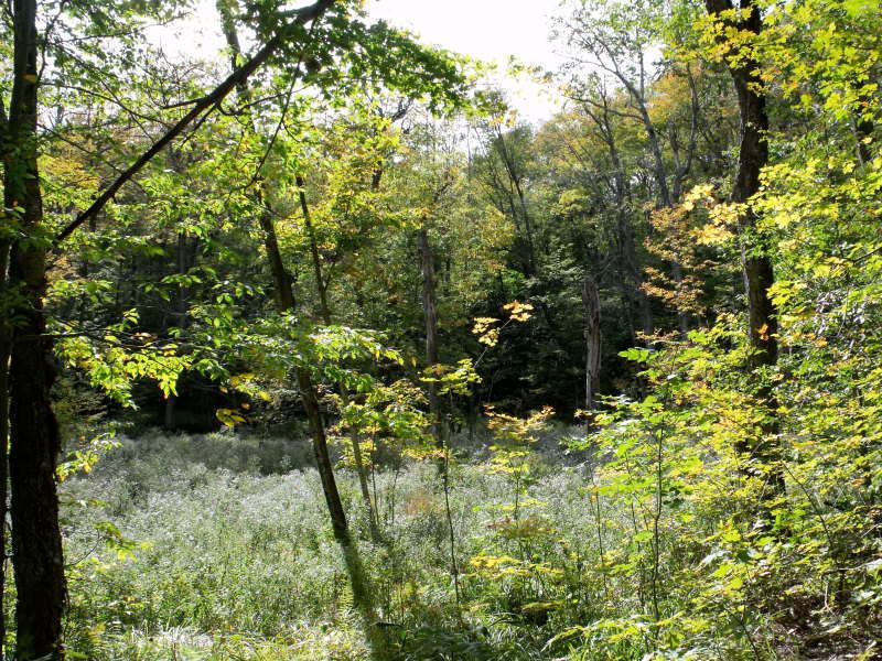 DSCF3859.jpg