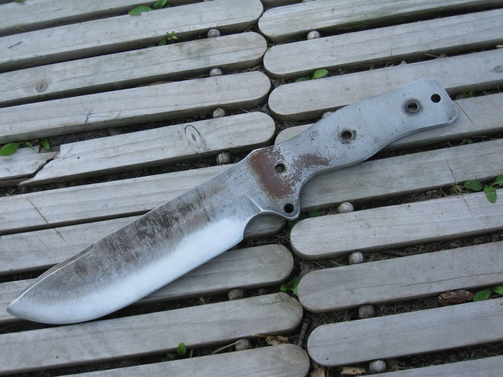 Picture604.jpg