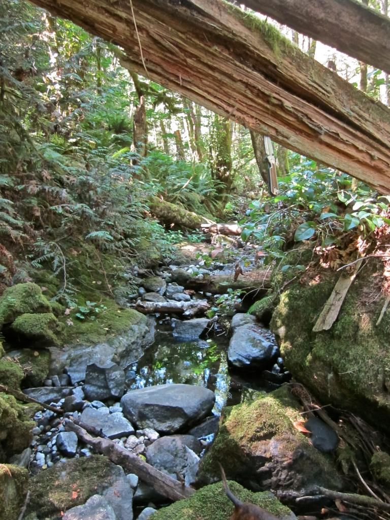 IMG_0964_zps9ad27894.jpg