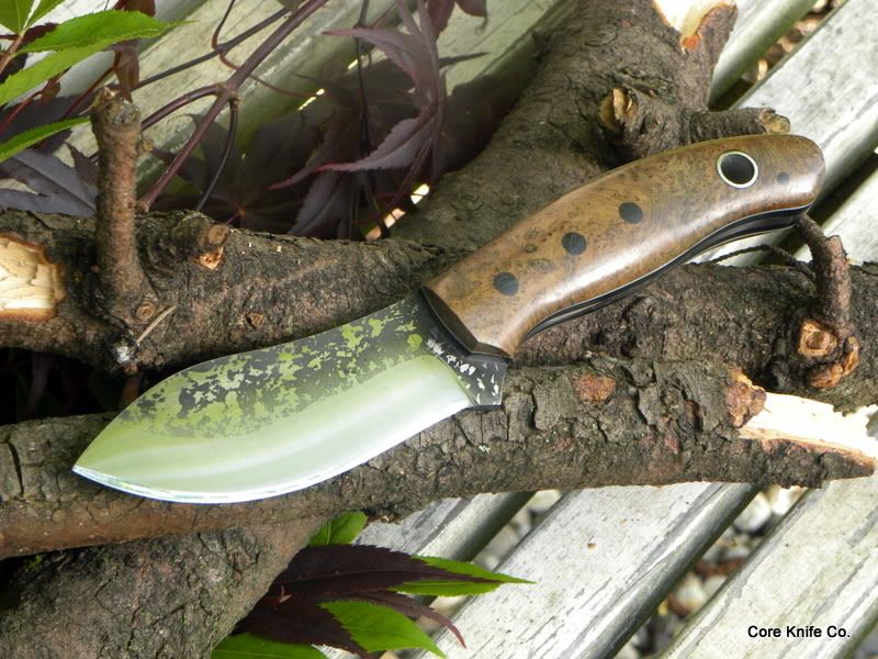 Corehart2170.jpg