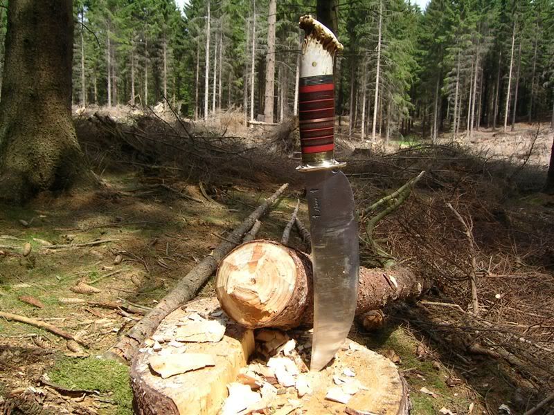 ScagelForesttest36powerstrokes.jpg