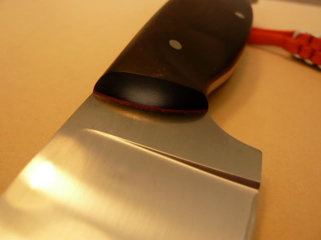 P1000614.jpg