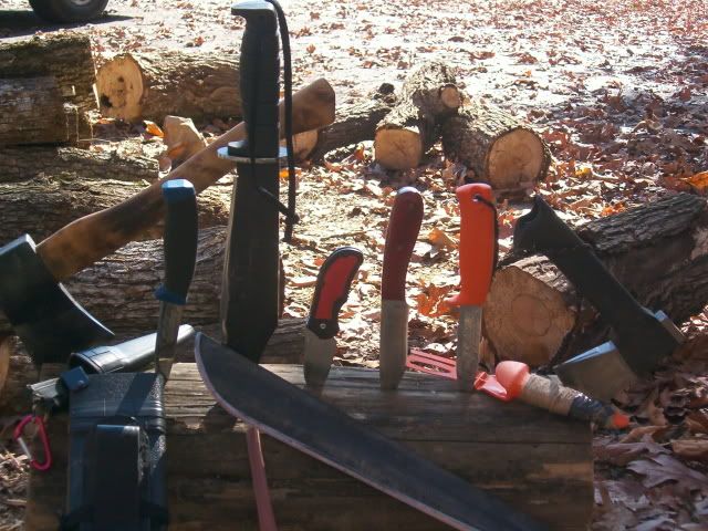 043.jpg
