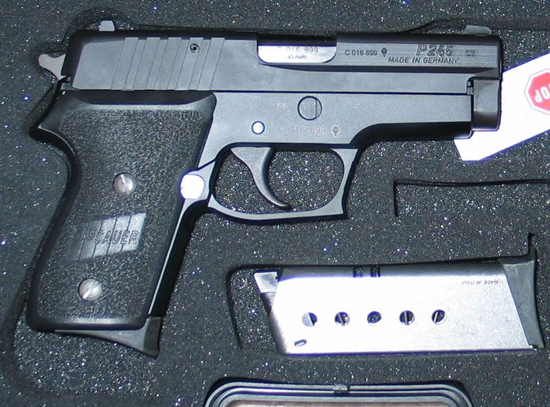 P245Germ.jpg
