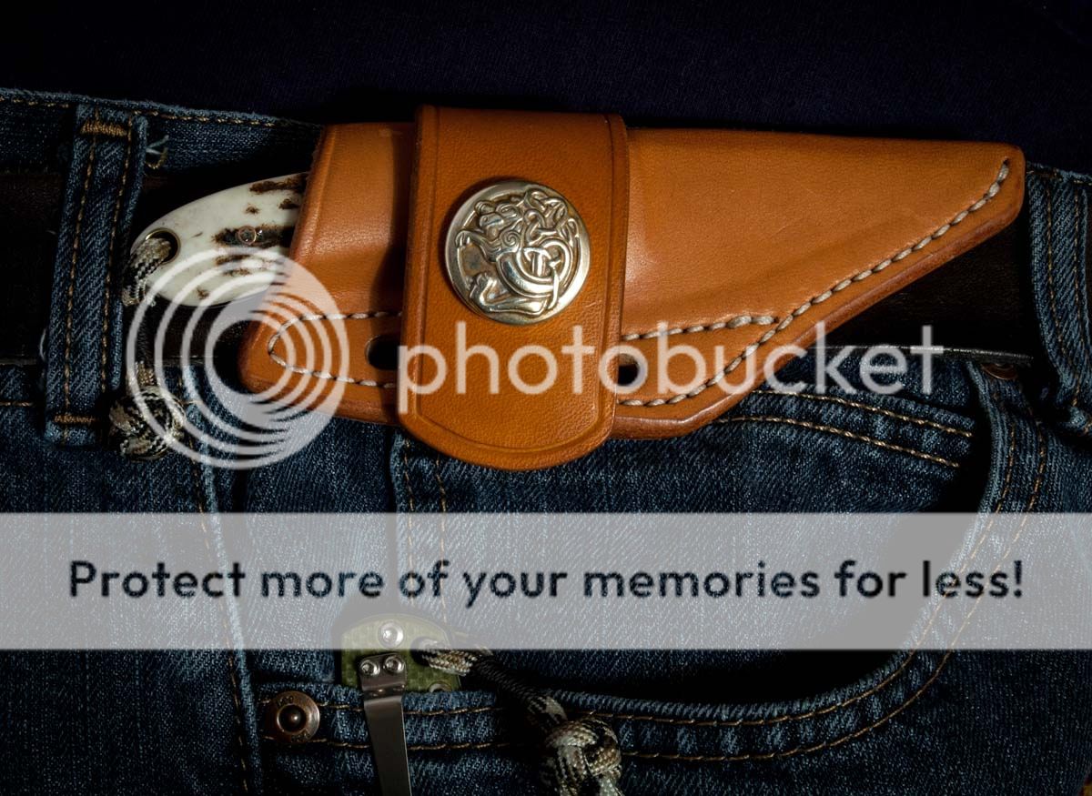 Coyote_on_belt.jpg~original