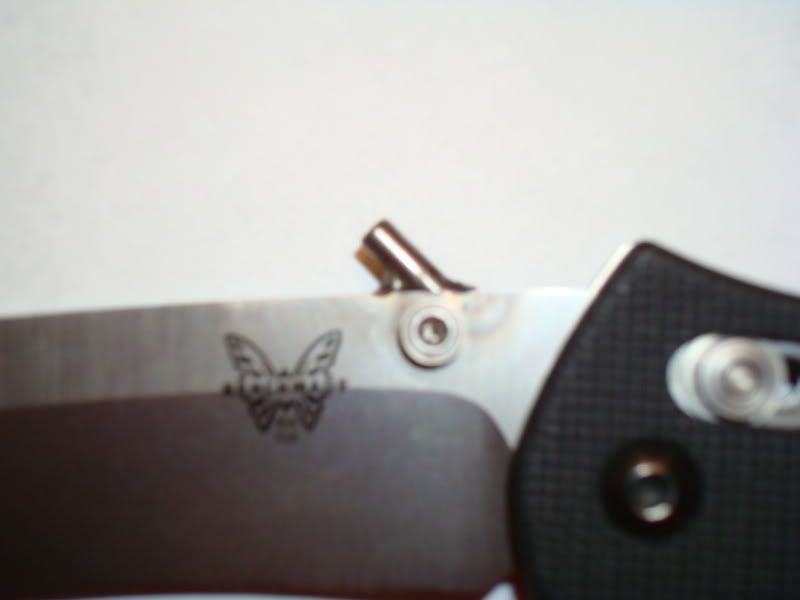 DSC00980.jpg