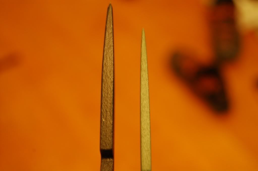 DSC_1999.jpg