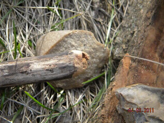 DSCN3568.jpg