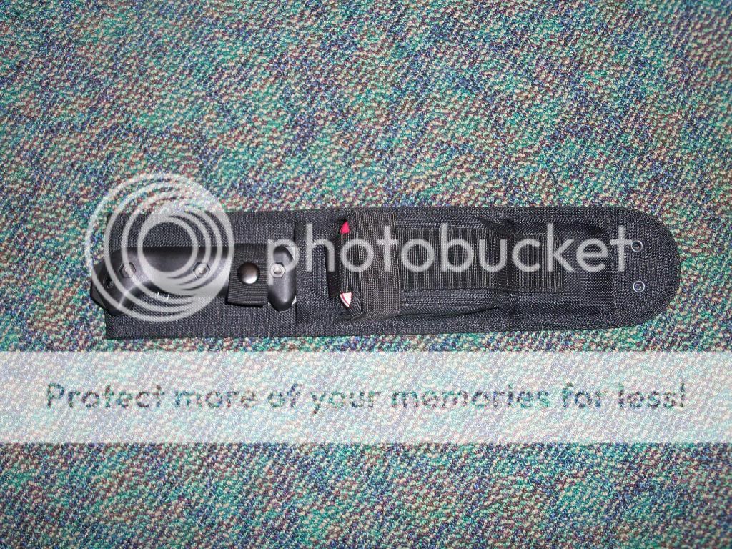 100_4566.jpg