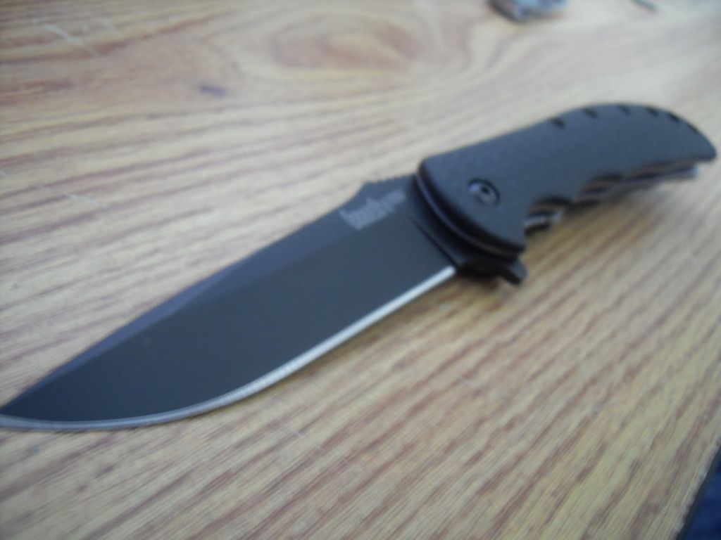 SDC11392.jpg