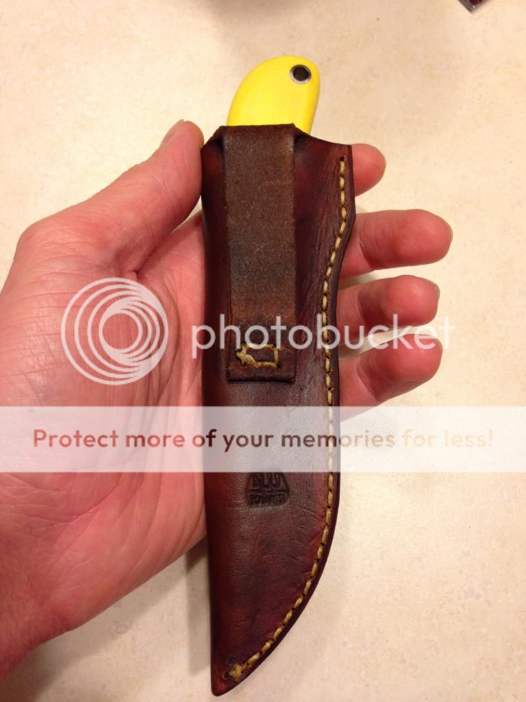 IMG_0163_zps1f42ee24.jpg