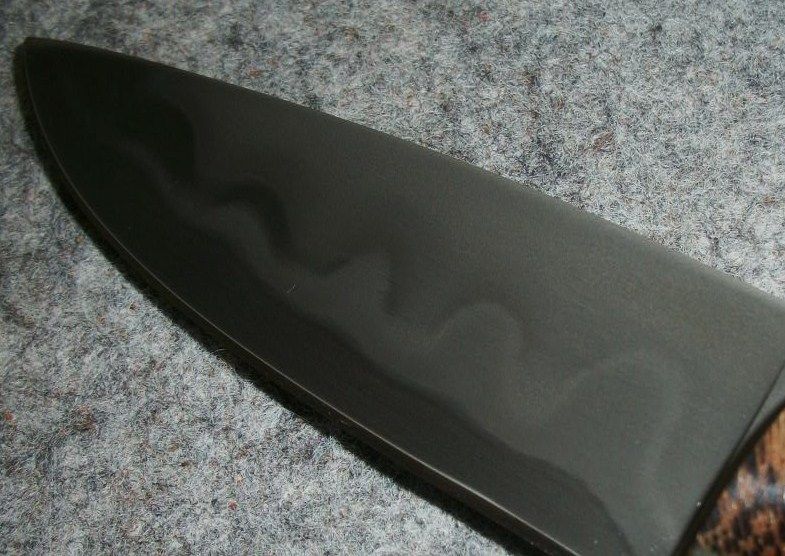 219.jpg
