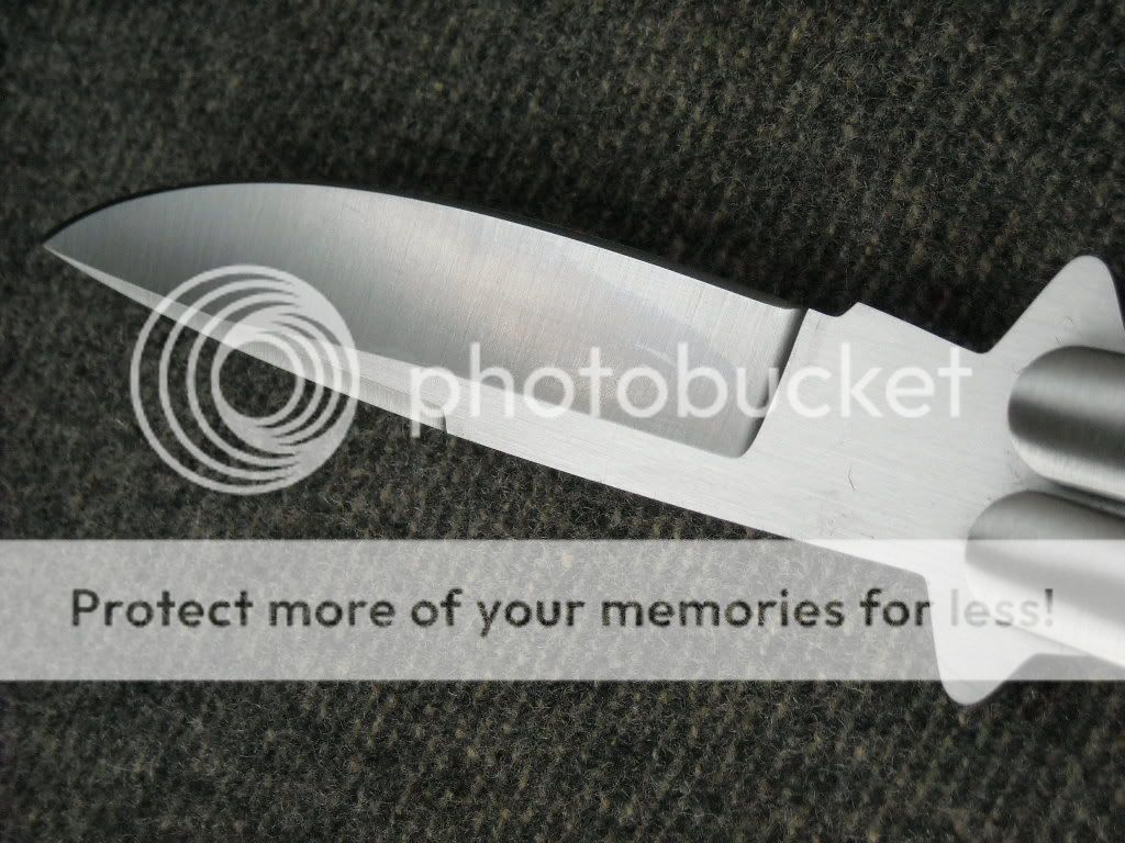 DSCN2825.jpg