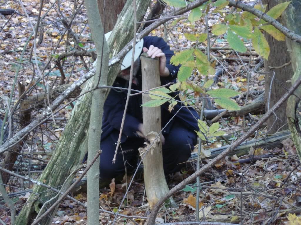 DSC00525.jpg