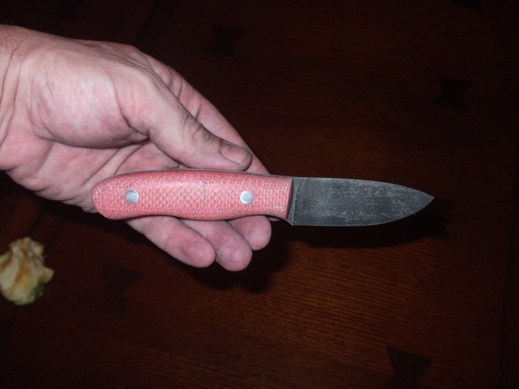 DSCF0242.jpg