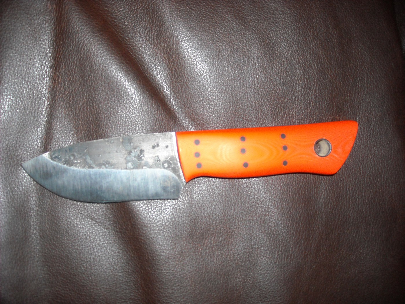 DSCN1836-vi.jpg