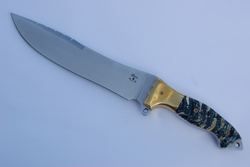 Busse003.jpg