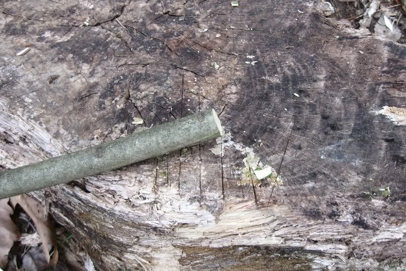 Cuttingtolength-2.jpg