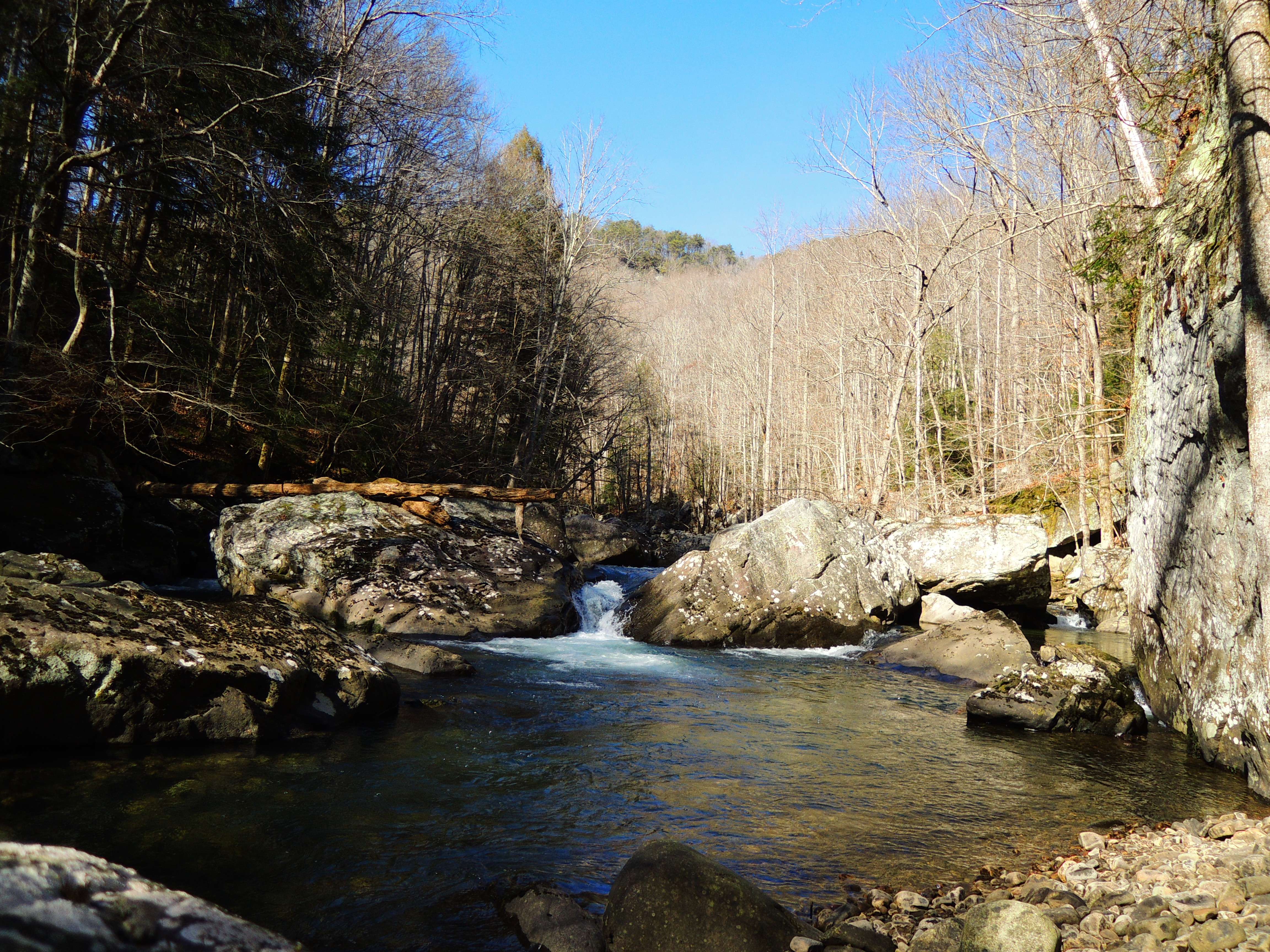 dscn6924.jpg