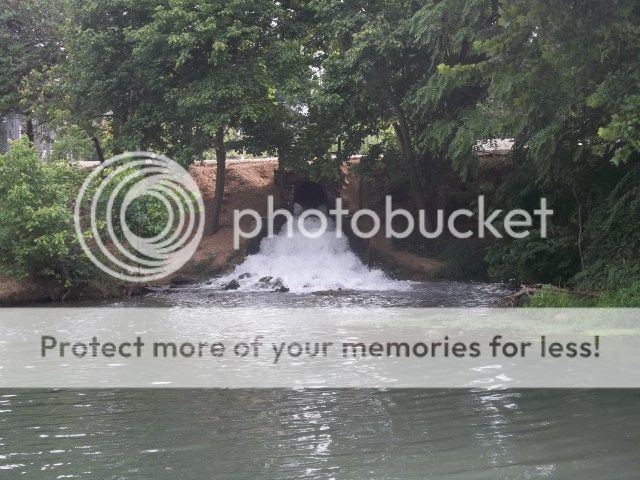 100_3437.jpg