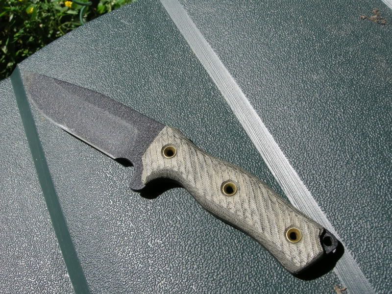 DSCN3274.jpg