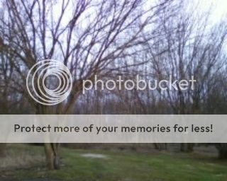 86e17768-5771-4f02-9af9-105765b2e7d4.jpg