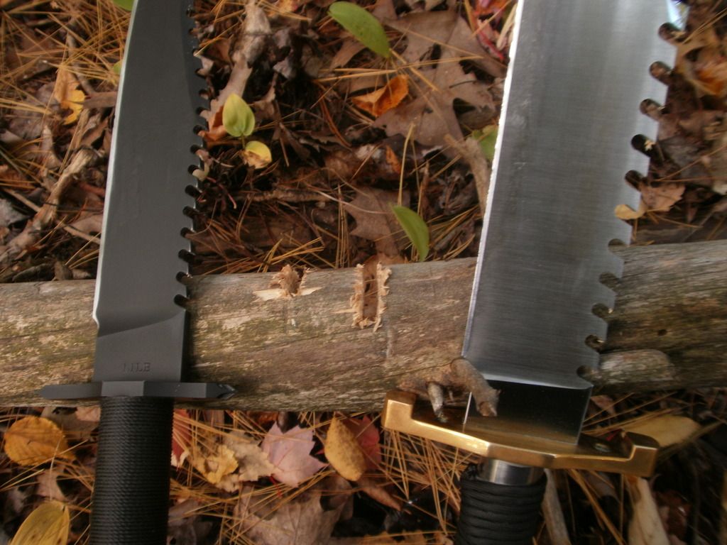 PA130190_zpsopprjvns.jpg