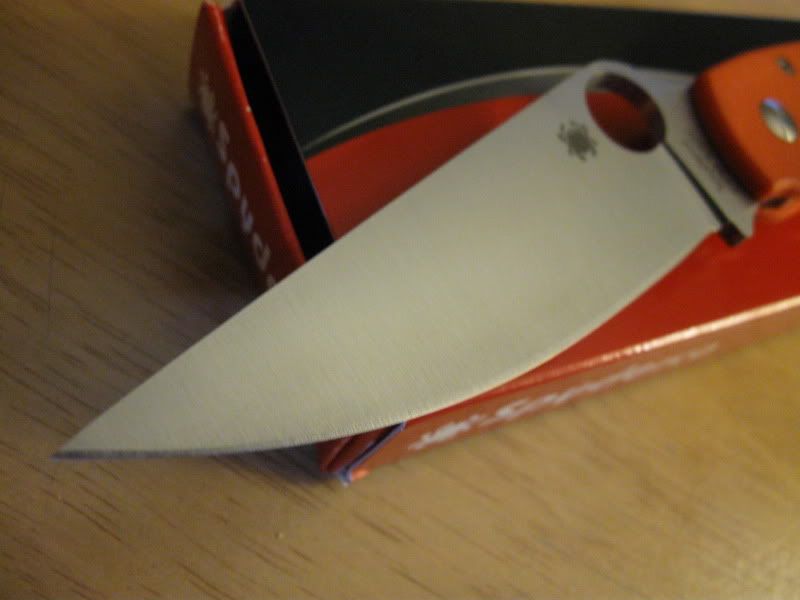 ryth233-1.jpg
