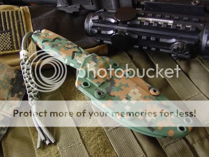 RAT3MARPAT2.jpg