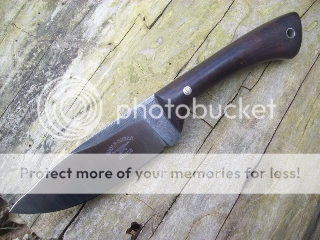 100_9269_zps3d79b508.jpg