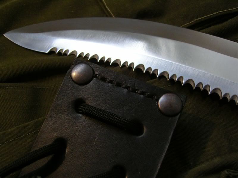 Warriorsheathdisplay4.jpg
