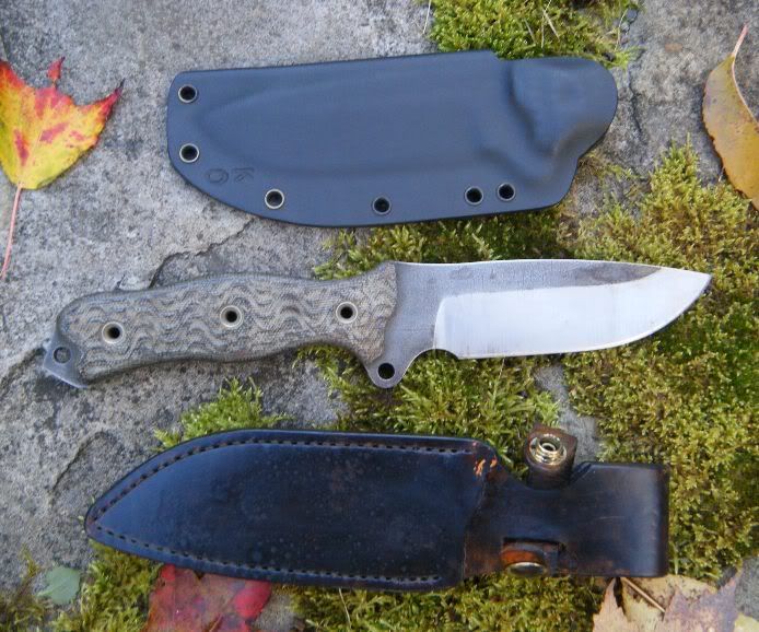 BATAC_2Sheaths.jpg