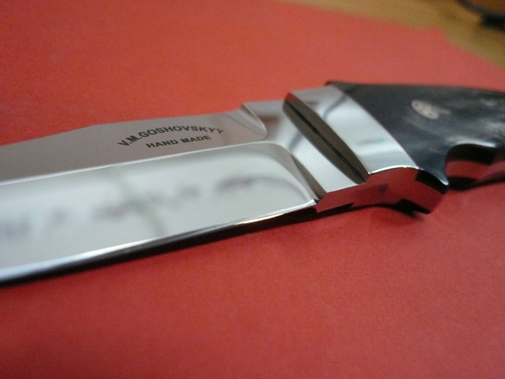 P1060367_zpswfchx2so.jpg