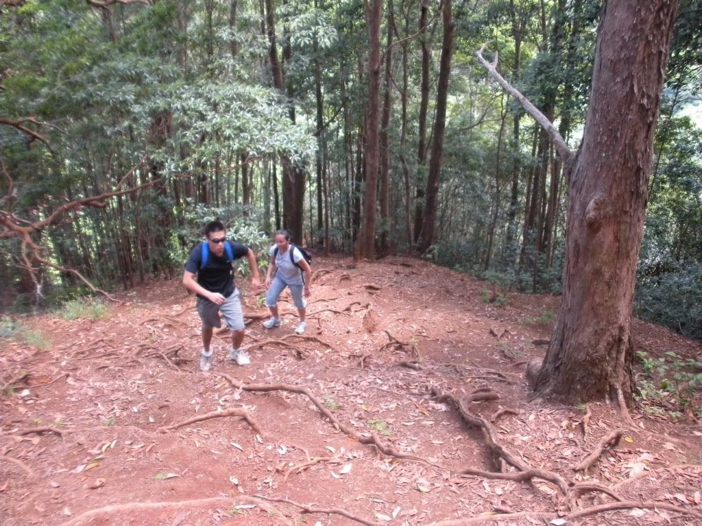 DSCN0710.jpg