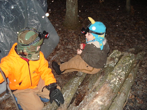 12011751333_cc3bf5346d.jpg