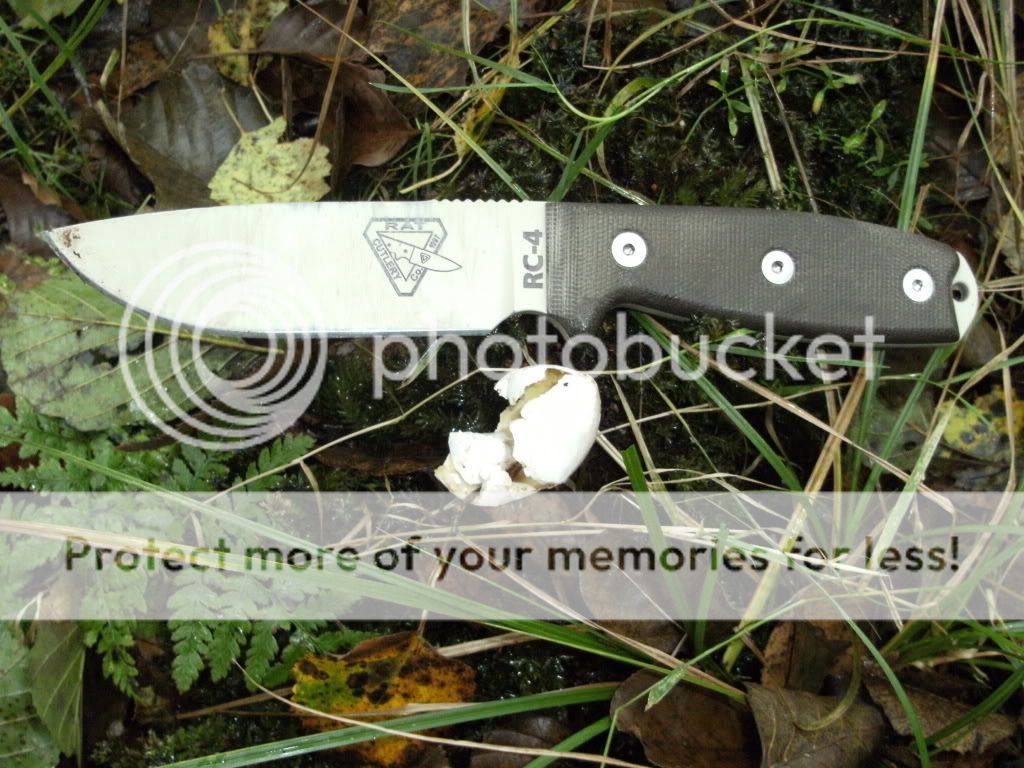 DSCF1246.jpg