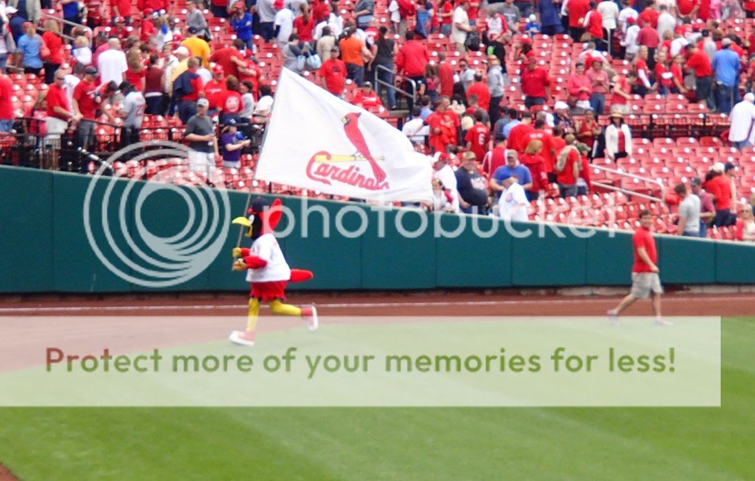 Fredbird_zpsa073f58c.jpg
