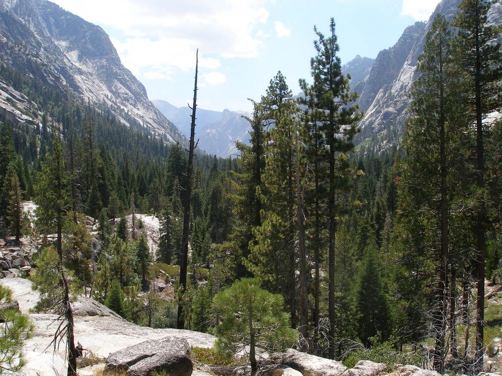 KingsCanyon2007564.jpg