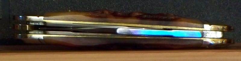 colt10.jpg