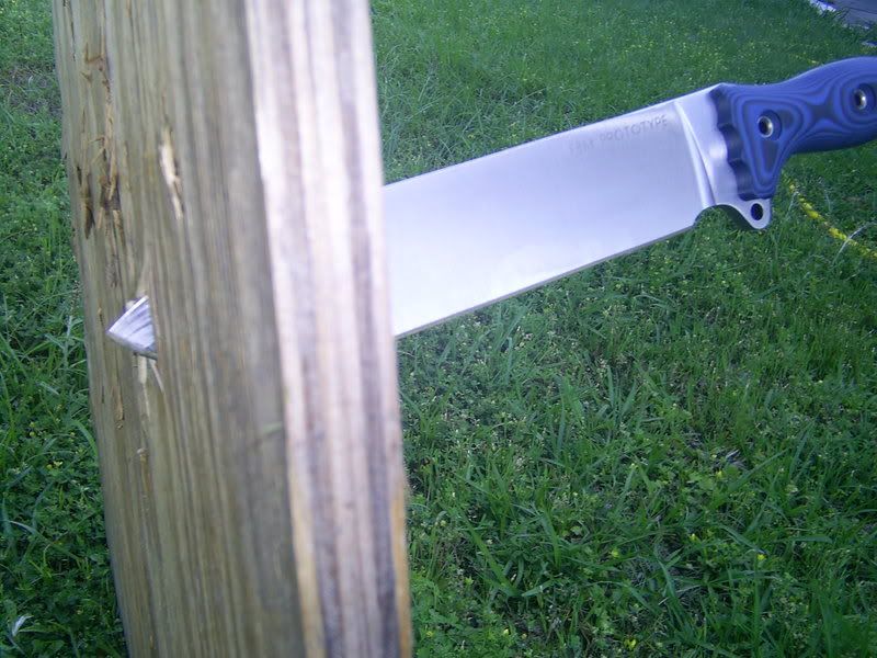 ebaypics492.jpg