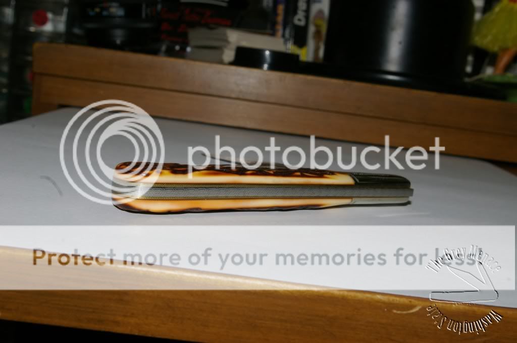 IMGP3740.jpg