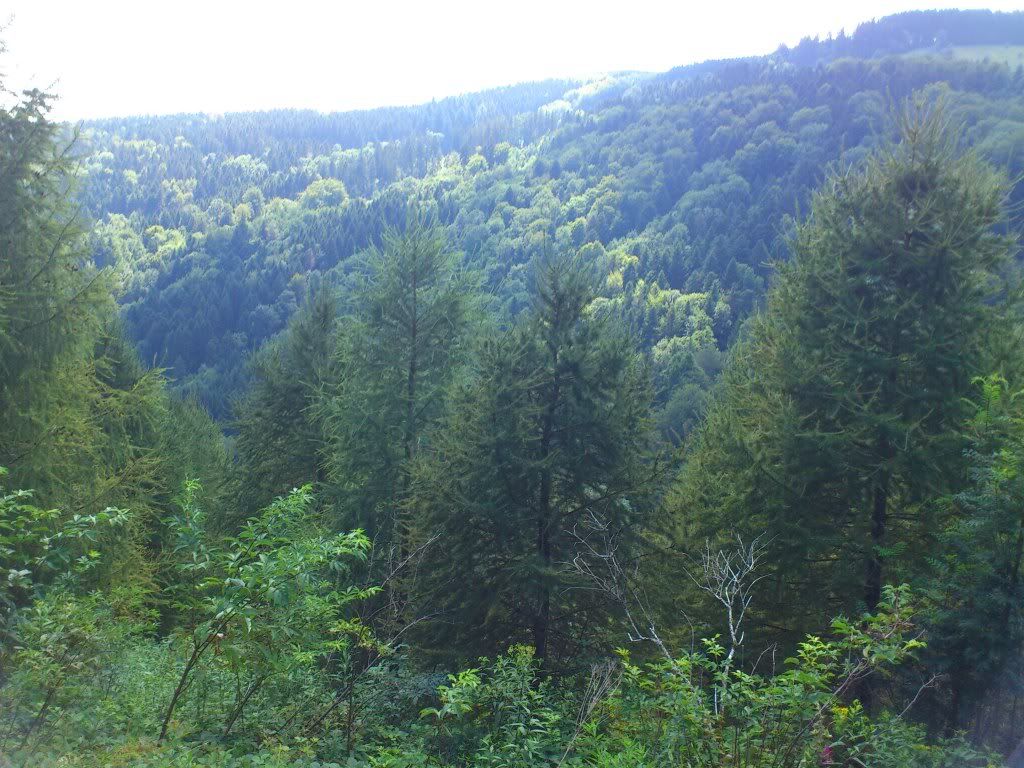 DSC_0694.jpg