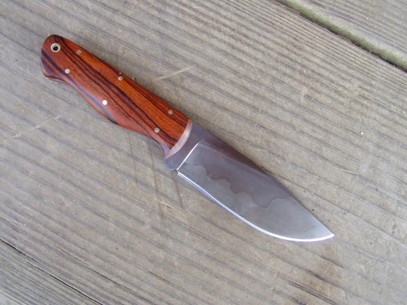 CarolinaHunterII007.jpg