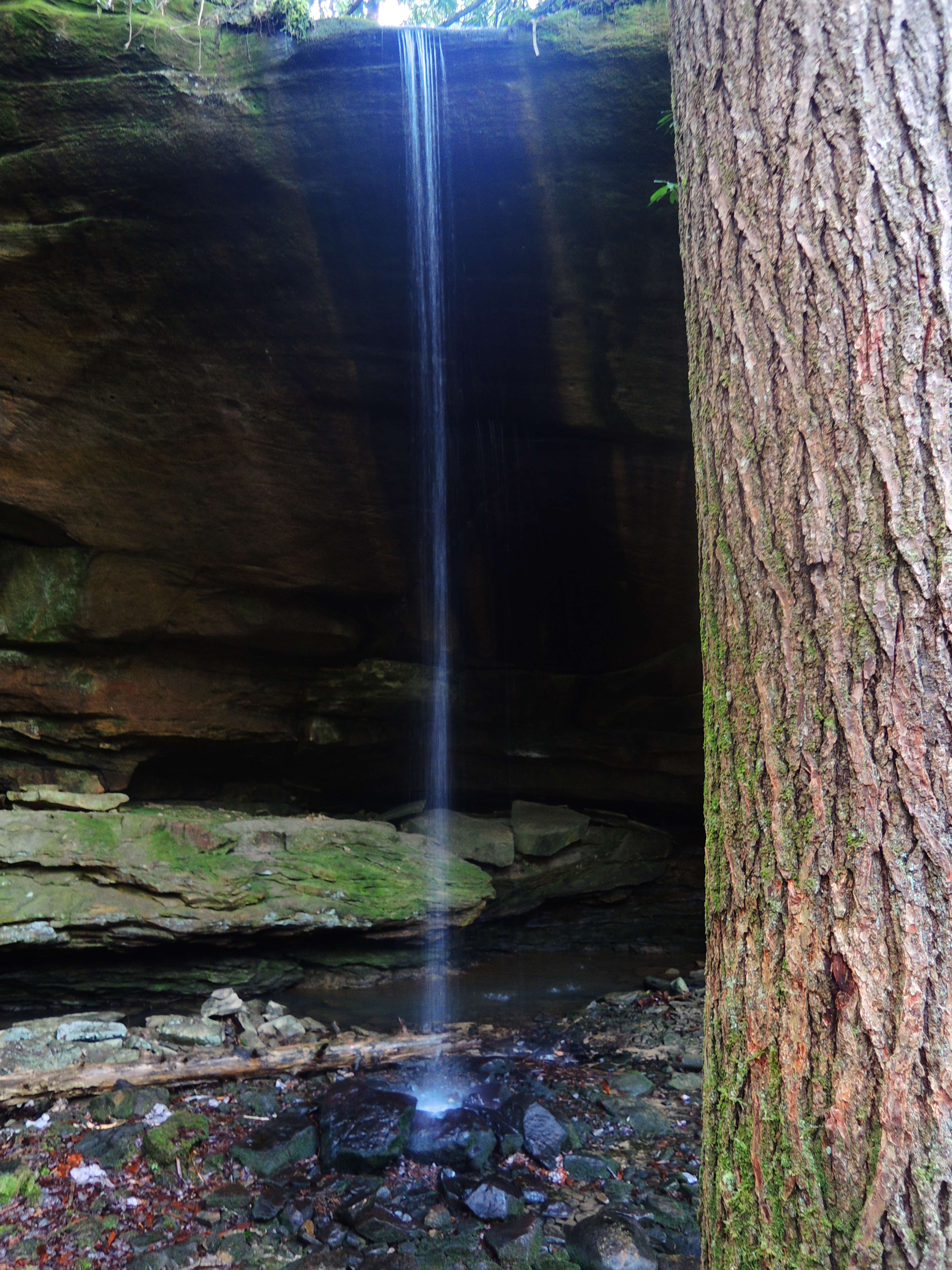 dscn5144u.jpg