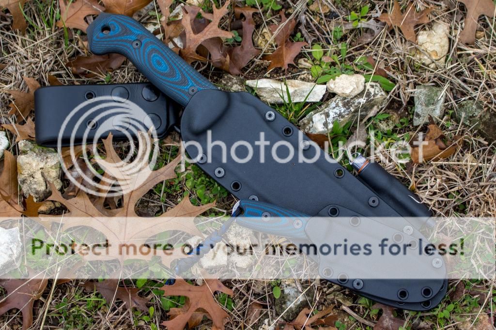 _MG_0259_zpsef17d066.jpg~original