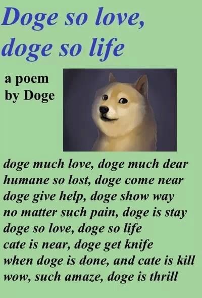 dogepoem_zpsc57c5962.jpg