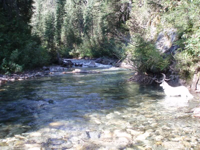 Summer2011134.jpg